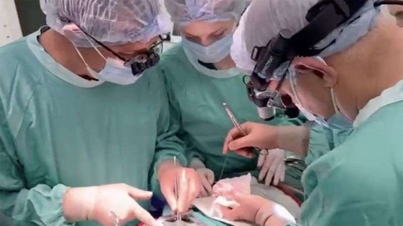 image for Ukrainian doctor drives a child’s heart through Russian attack to perform a life-saving transplant