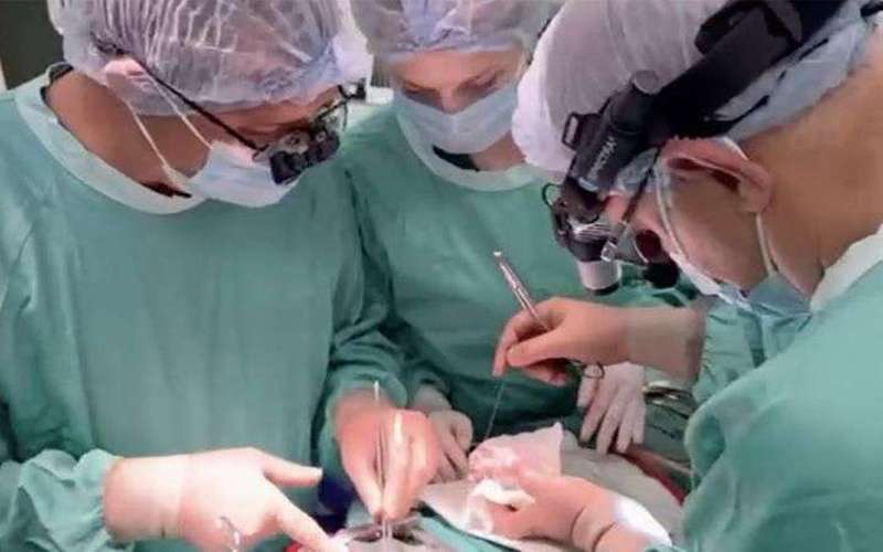 image for Ukrainian doctor drives a child’s heart through Russian attack to perform a life-saving transplant