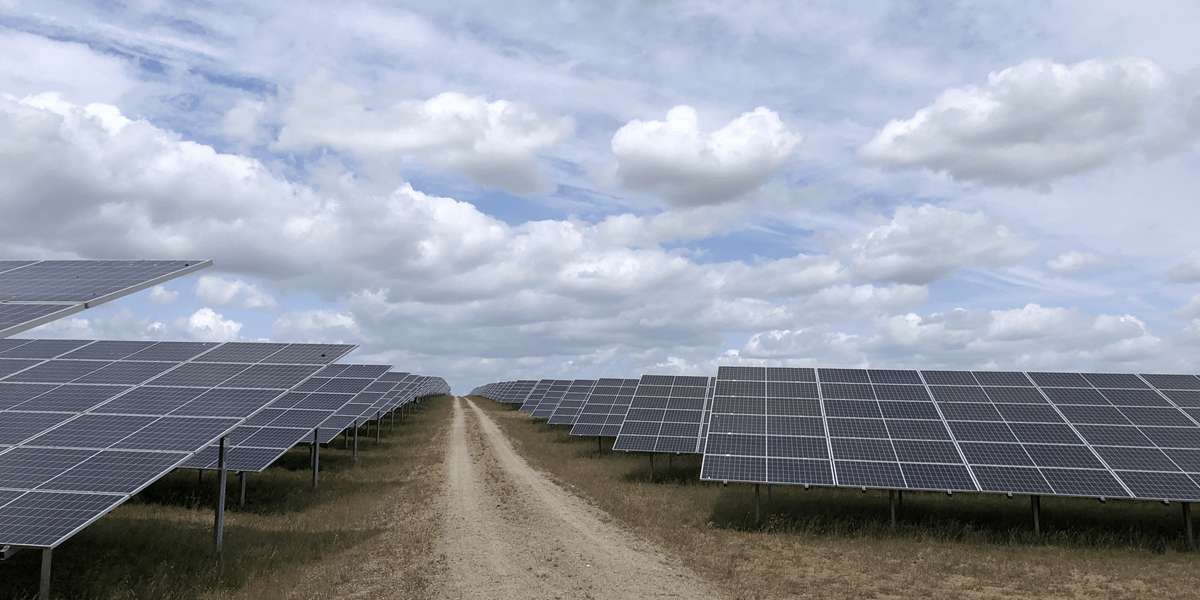 image for Birds thriving, breeding successfully in Germany’s solar parks