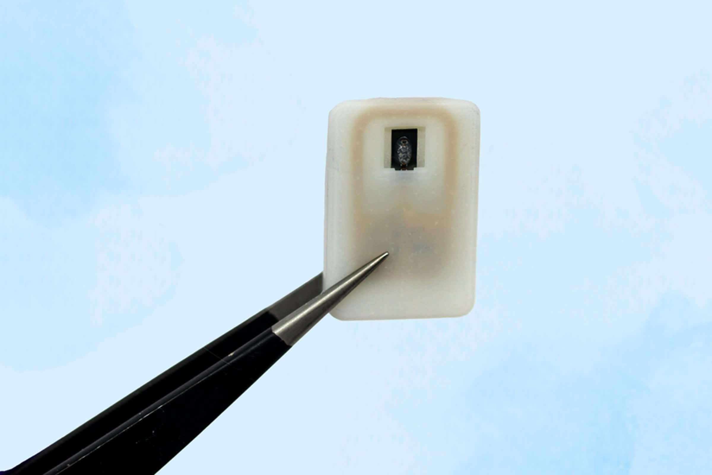 image for New MIT implant automatically treats dangerously low blood sugar in people with type 1 diabetes