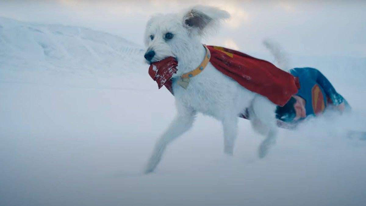 image for James Gunn’s ‘Superman’ Leads to More Than 500% Surge in Dog Adoption Interest, Thanks to Krypto