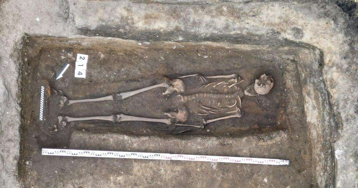 image for Complete skeleton of medieval knight found under former ice cream parlor in Poland