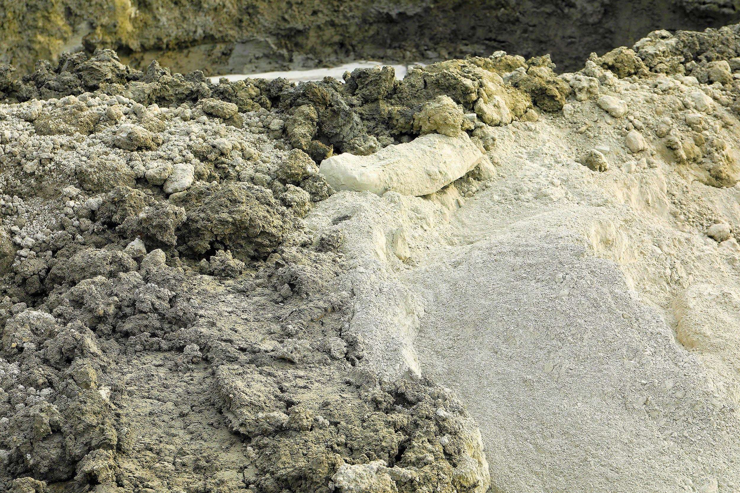 image for Bacteria discovered that turns CO2 gas into stone, which could then be used for buildings