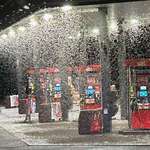 image for Mayfly "hatch" at the local gas station