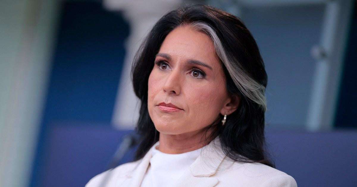 image for Gabbard and White House 'lying' about intel on Russian interference in 2016, ex-CIA official says