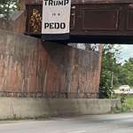 image for Trump is a Pedo - Columbus, OH (OC)