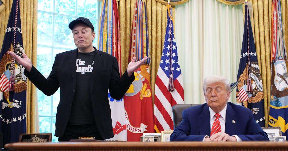 image for Trump Accidentally Wrecks His Own Epstein Lie as Musk Goes for Jugular