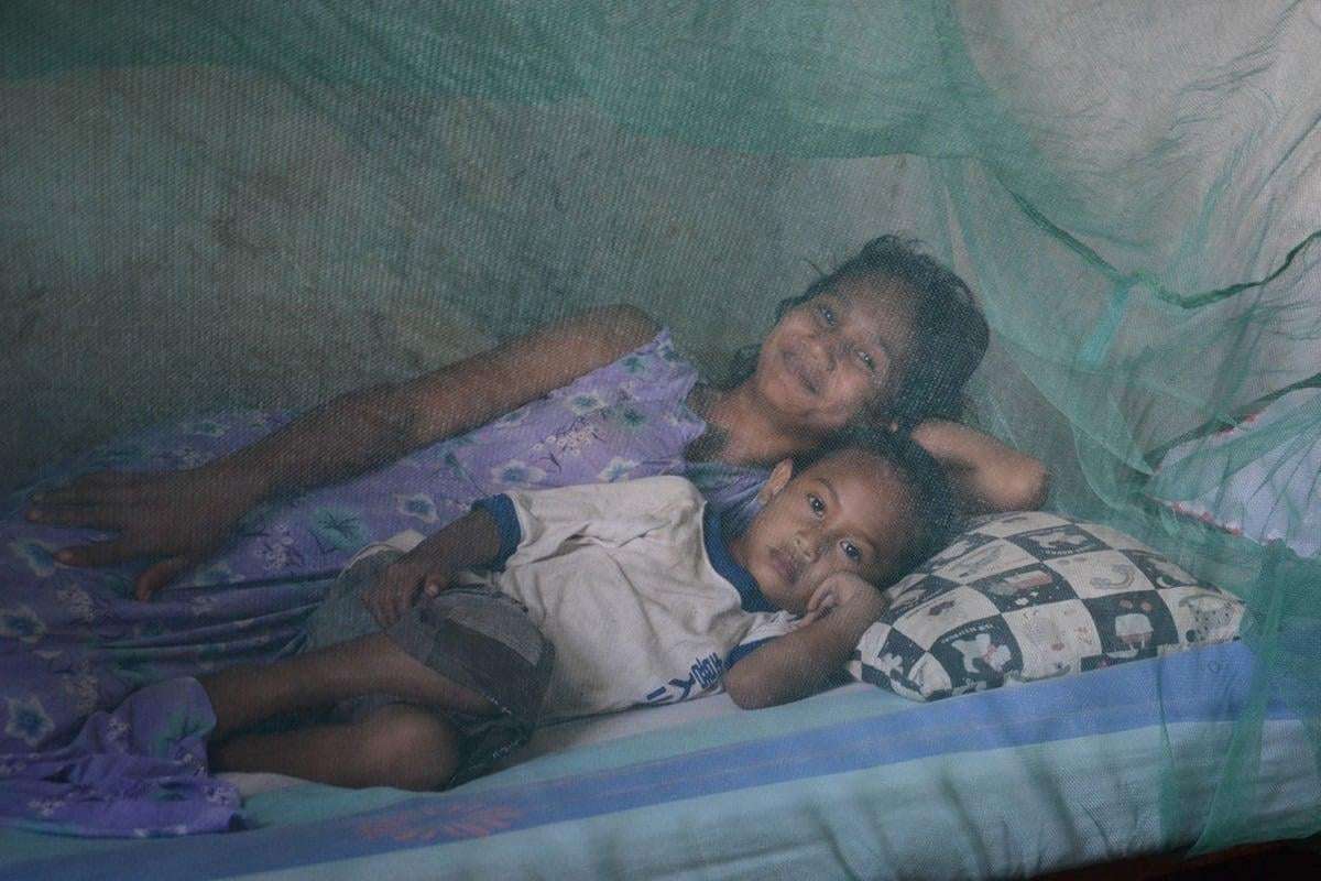 image for Timor-Leste certified malaria-free by WHO