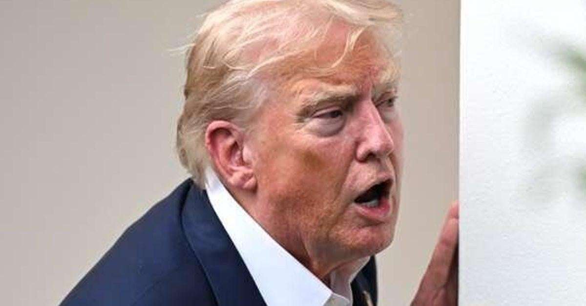 image for Trump Goes On Wild Repost Rampage With Unhinged Memes Of Obama, Clinton And More