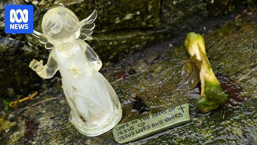image for Mass baby graves being excavated in Ireland decades after discovery at Catholic-run home
