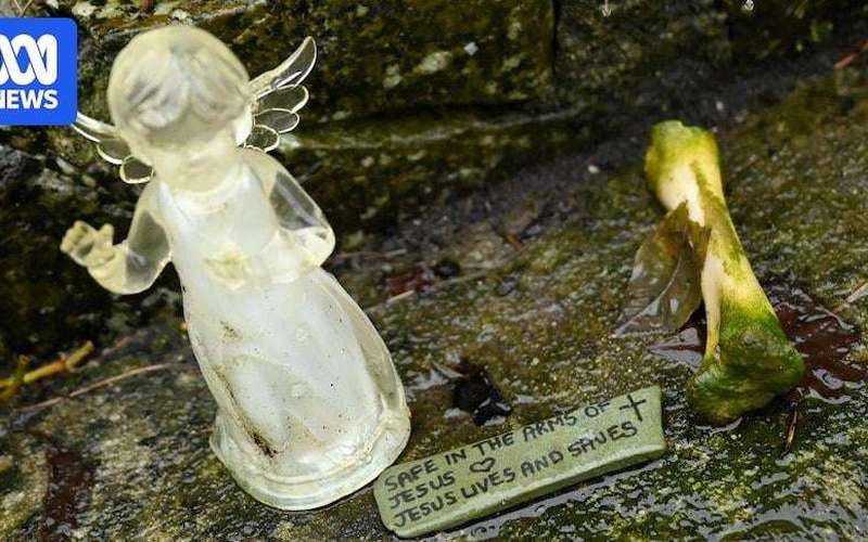 image for Mass baby graves being excavated in Ireland decades after discovery at Catholic-run home