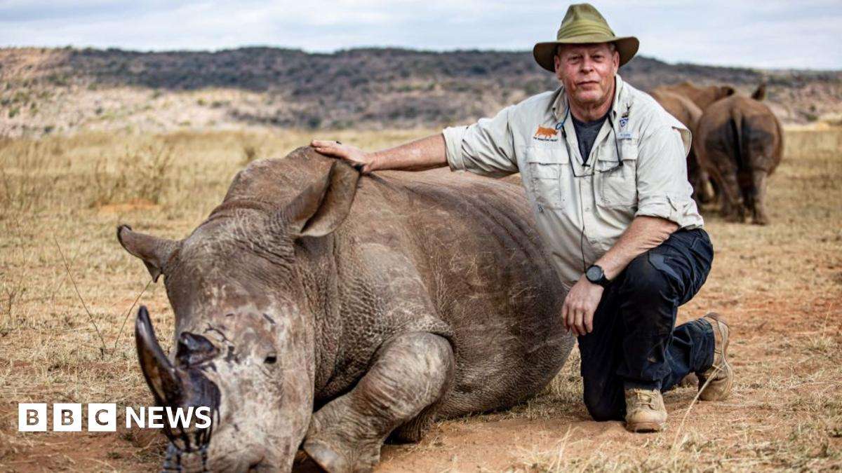 image for South African rhino horns turned radioactive to fight poachers
