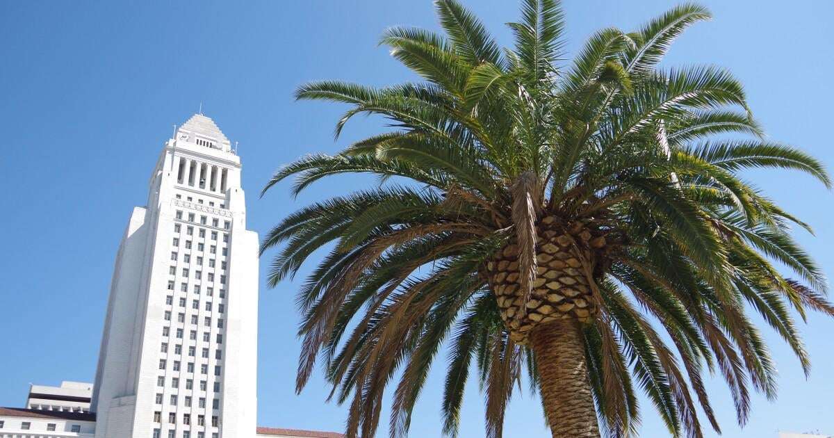 image for Los Angeles City Council bans use of N-word, C-word in meetings