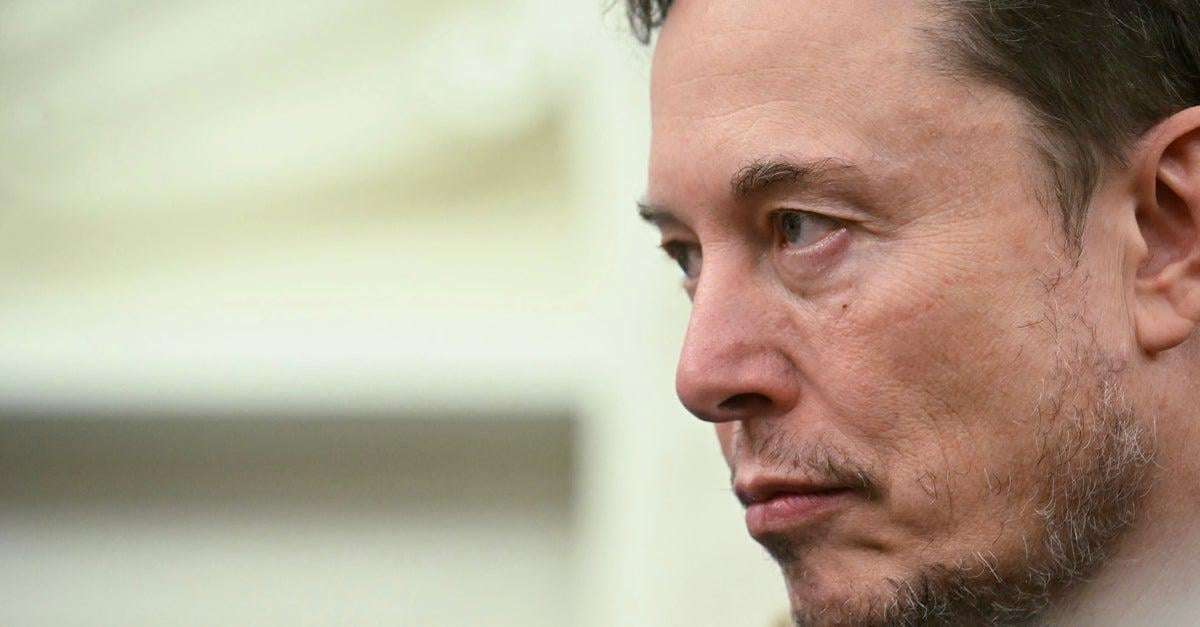 image for Elon Musk Amplifies Bizarre Claim That 'Women Are Built To Be Traded'