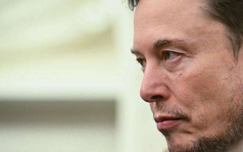 image for Elon Musk Amplifies Bizarre Claim That 'Women Are Built To Be Traded'