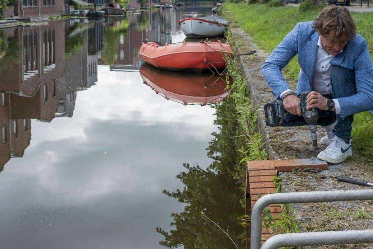 image for Amsterdam is building tiny staircases to help cats exit its canals
