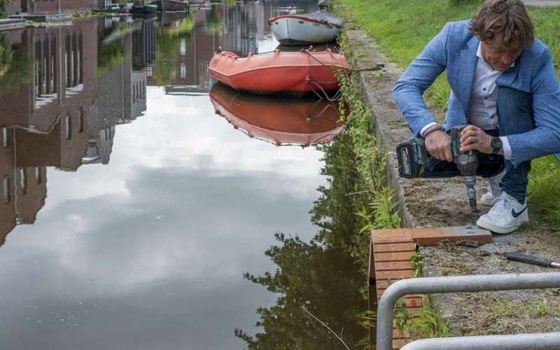 image for Amsterdam is building tiny staircases to help cats exit its canals
