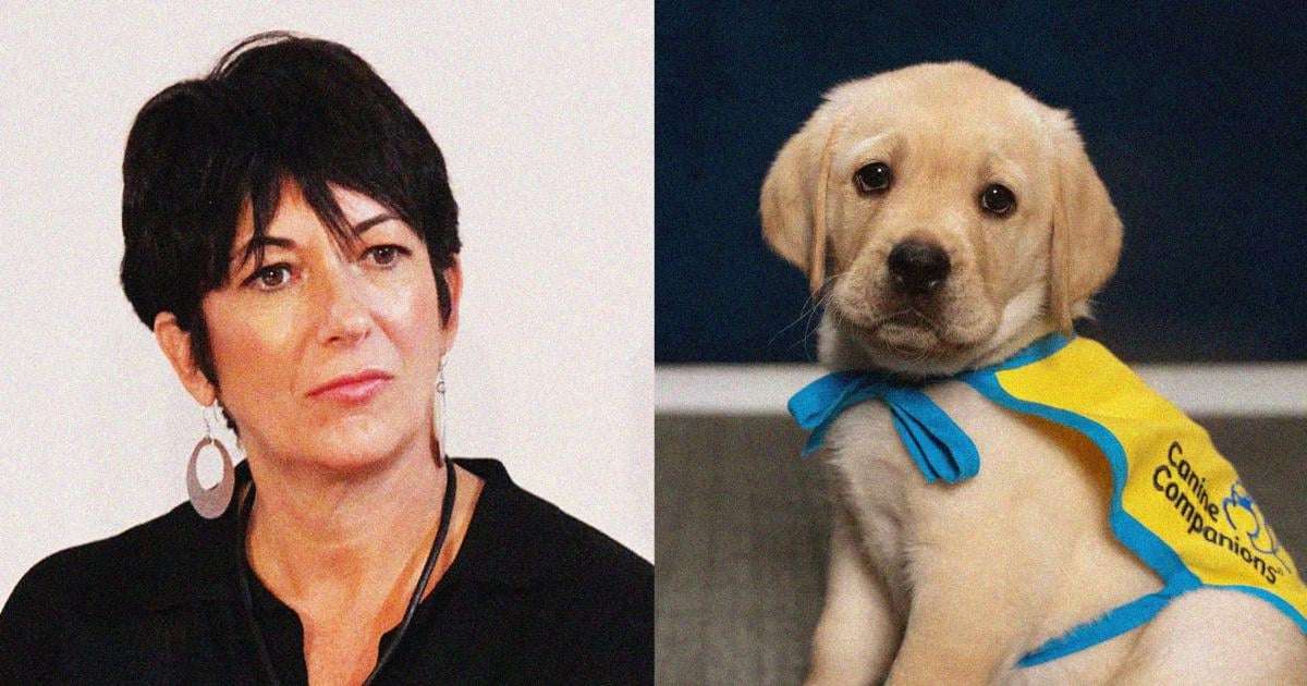 image for Ghislaine Maxwell barred from service dog training at cushy prison camp