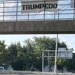 image for TRUMPEDO - Columbus, OH (OC)
