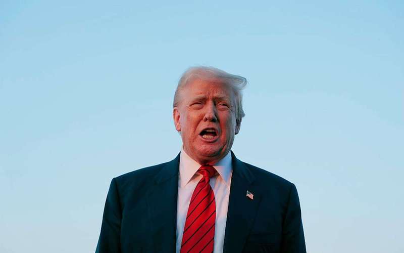 image for Trump drops IVF promise, preferring to blame women for infertility