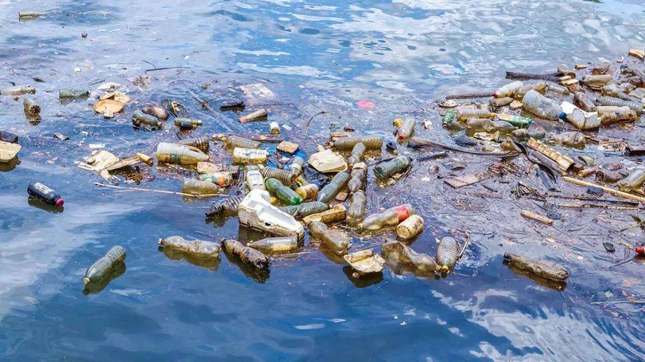 image for Plastic-eating fungi could help clean up oceans, say scientists