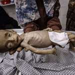 image for Blockade on Gaza kills 6 month old infant 'Judy al-Aroor' from famine.