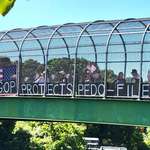 image for [OC] GOP PROTECTS PEDO-FILES, 09Aug2025 Cape May County, NJ