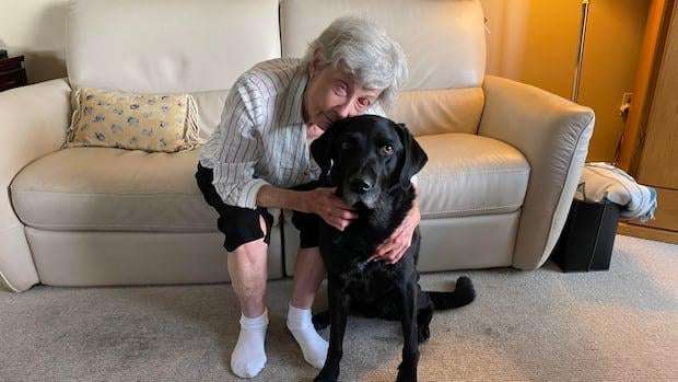 image for A decade after losing her sight, a B.C. woman can see again — through her tooth