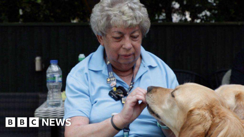 image for Yarm volunteer Dot Robinson knits blankets for guide dogs