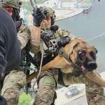 image for Polish SPKP operator preparing for a helicopter descent with his not so keen service dog
