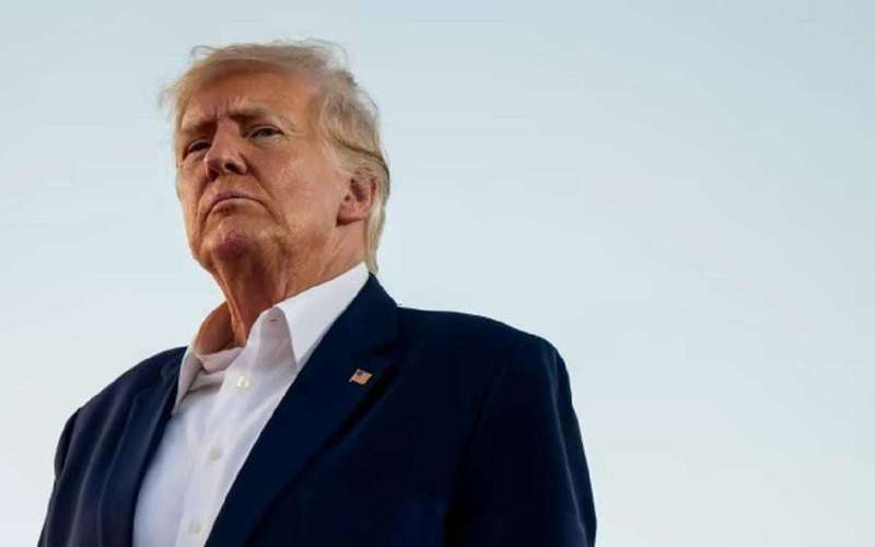image for Trump says he agreed with Putin on a territory swap: Zelenskyy must accept it