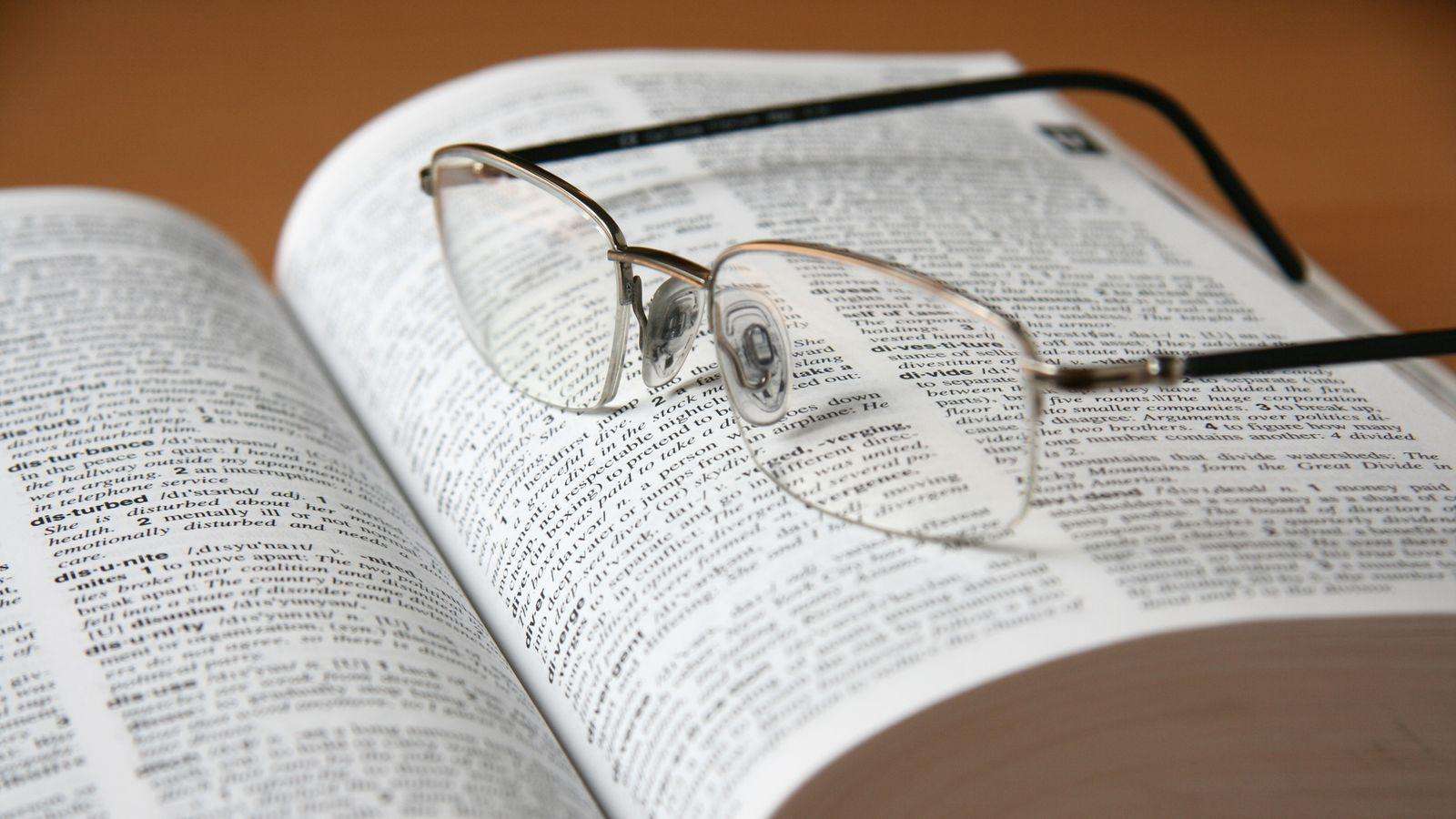 image for 'Tradwife', 'delulu' and 'skibidi' among new words added to Cambridge Dictionary