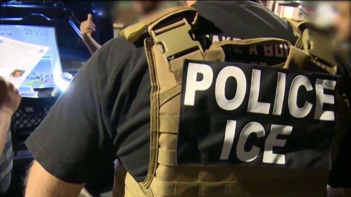 image for 6-year-old girl taken by ICE during family's visit to immigration court in NYC
