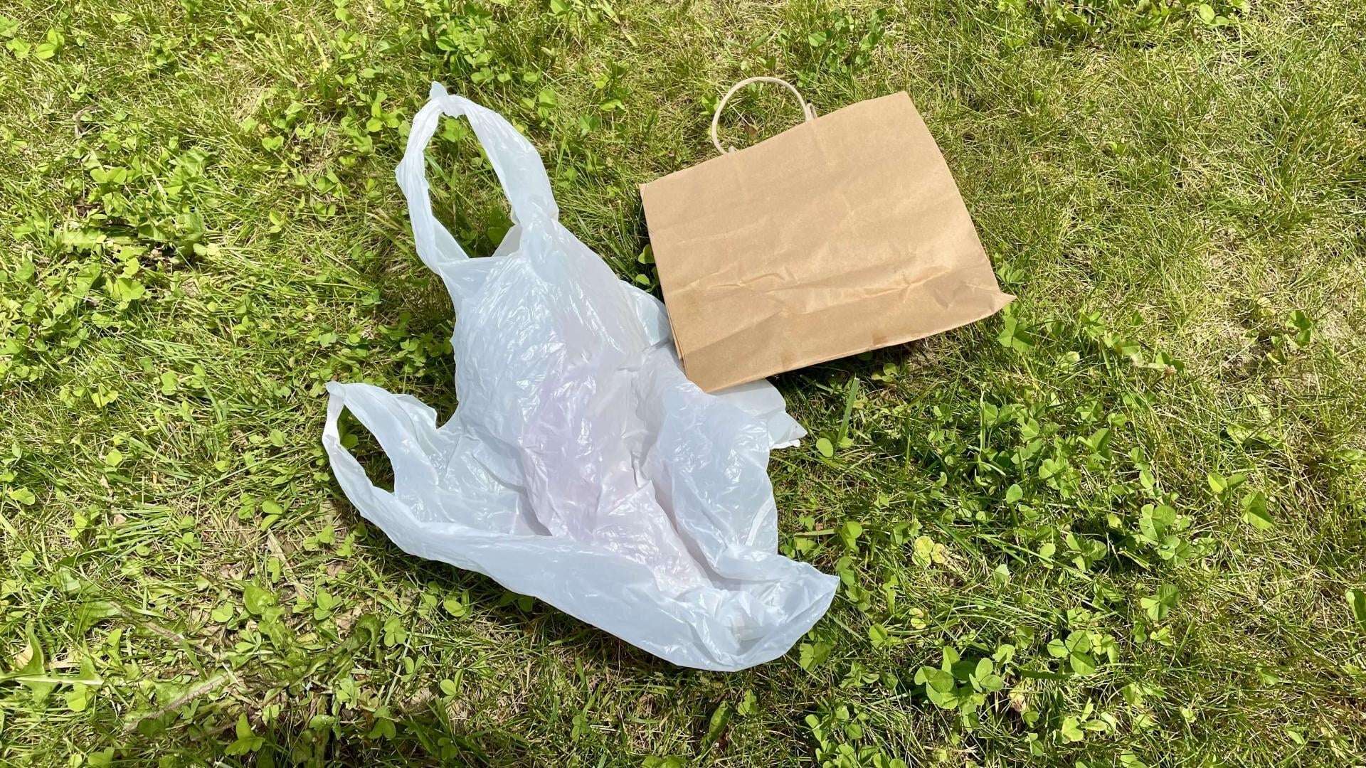 image for Vermont plastic bag use dropped 91% following ban, researchers find