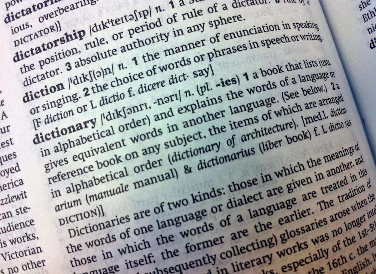 image for Cambridge Dictionary adds 'skibidi' and 'tradwife' among 6,000 new words