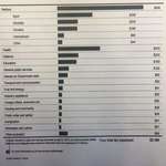 image for In Australia, citizens get a yearly breakdown showing exactly how their tax dollars are spent.
