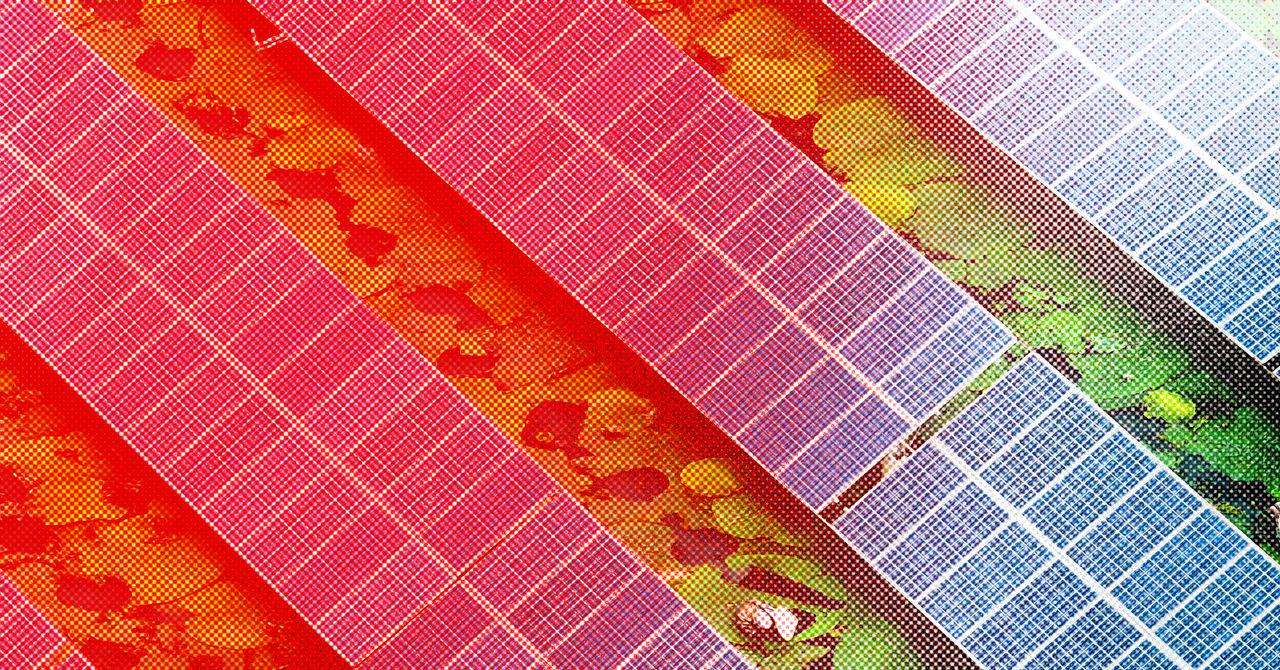 image for Africa Is Buying a Record Number of Chinese Solar Panels