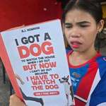 image for I got a dog.