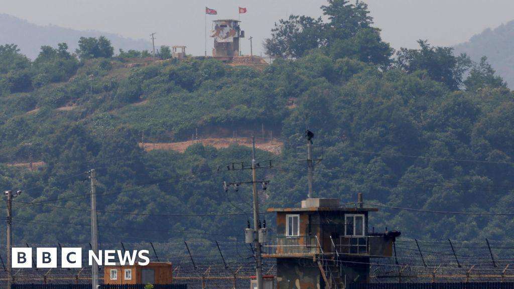 image for South Korea fires warning shots at North's troops crossing border