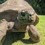 image for Say hello to Jonathan he was born in 1832 & is 192 years old