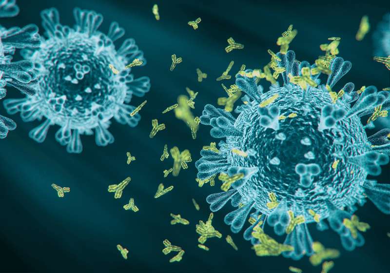 image for A Broadly Protective HIV Vaccine Shows Promising Results in Monkeys