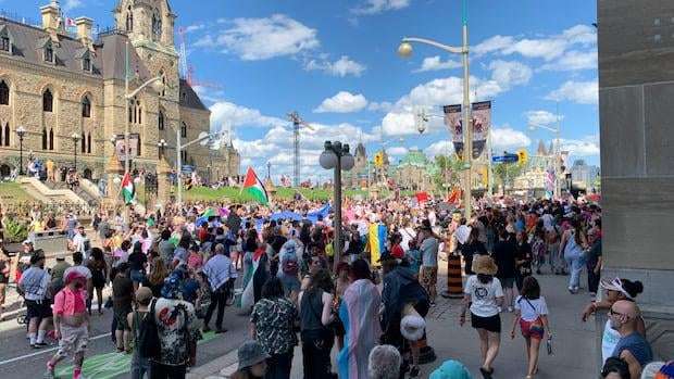 image for Pride parade cancelled after being halted by pro-Palestinian protesters