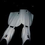 image for The view below me during a night dive in the ocean.
