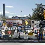 image for White House protest signs - November 23, 2020