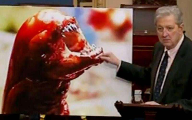 image for Sen. John Kennedy says radioactive shrimp will turn you into an Alien