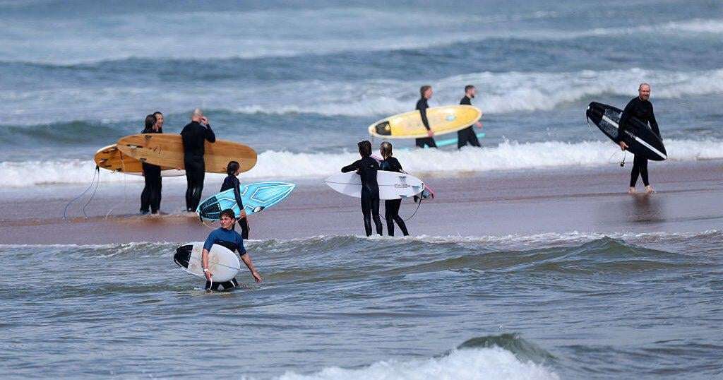 image for Surfer dead after mauling by large shark off Australia beach