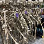 image for At Lowe’s Today