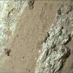 image for Image from NASA of possible evidence of ancient life on Mars
