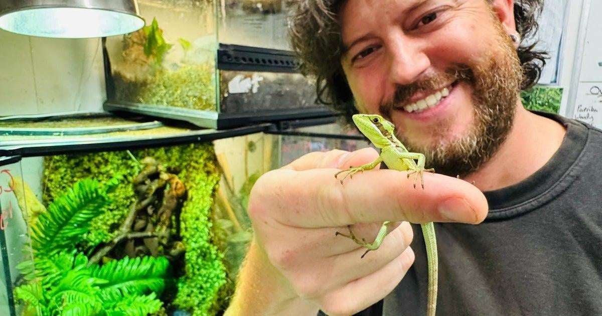 image for Iguana's "virgin birth" hailed by zookeepers as "one of the rarest events in the animal kingdom"
