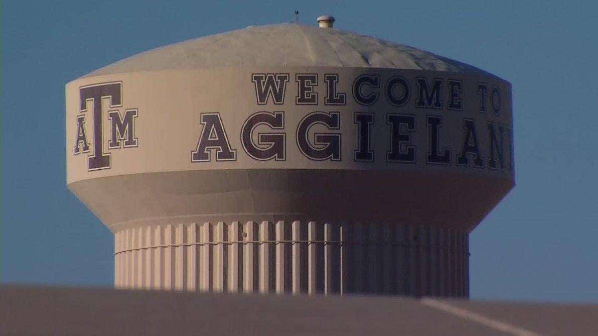 image for TAMU dean, department head fired over gender-identity content in children's lit class